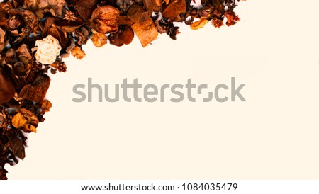 White background with brown flowers reminiscent of autumn.