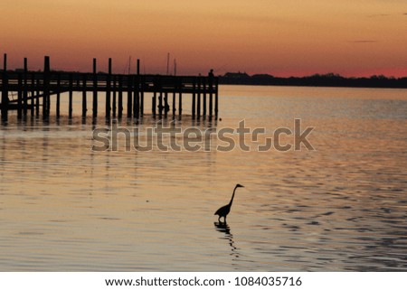 Egret silhouette at sunset with fishing pier in the background