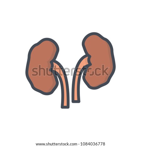 Kidney colored human organ diseases raster illustration icon