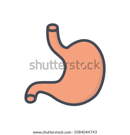 Stomach colored human organ icon illustration raster