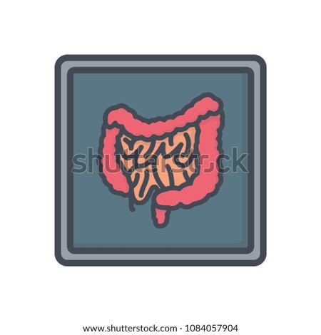 Intestine colored x-ray human organs illustration icon raster