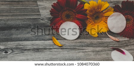 Cotton disks, sponges for removing makeup on the background in flowers. Beauty female hands with a cotton disc cream lotion flowers on a white wooden background