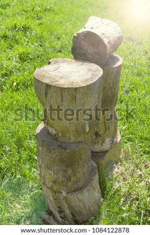 Abstract picture of a pile of natural wooden logs, a clear sunny day. Close-up