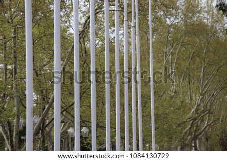 Row of vertical white poles in front of green plane trees. Abstract image of many masts and nature in background. Pattern of lines and branches. 