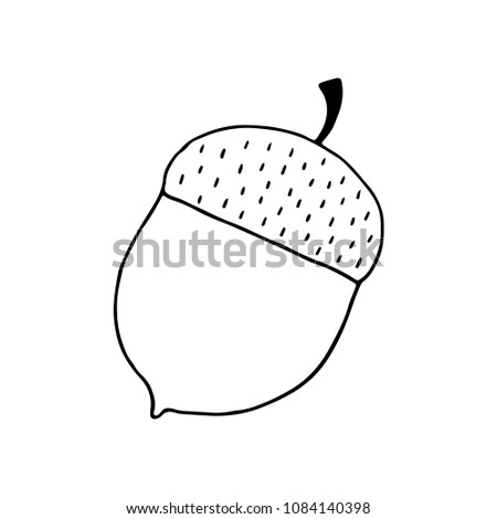 Linear cartoon hand drawn acorn. Cute raster black and white doodle acorn. Isolated monochrome acorn silhouette on white background.