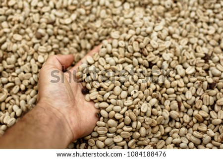 Hand in tray of coffee beans during the pre-drying step of coffee production