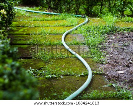 Landscaping in the garden. The path in the garden and hoses