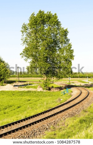 Landscape with railway, trees and grass in the background in a spring day. The concept of travel and railway tourism.