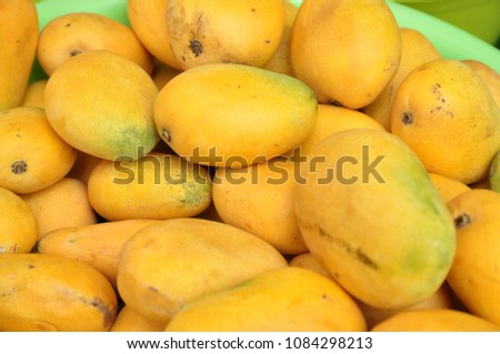 Mango, a fruit rich in vitamins.