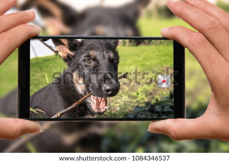 Woman with mobile phone photos dog.
