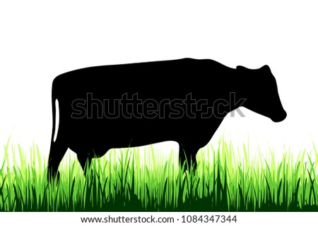 Vector silhouette of cow on a meadow on white background.