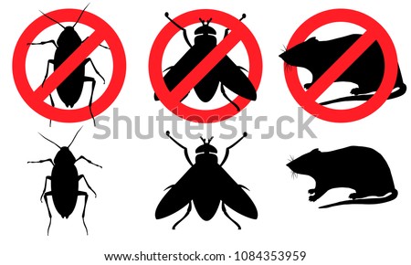 Cockroach, fly, rat. Pest control. Cockroaches (beetles), flies, rats (mice). Destruction of parasites. Insects pests, rodents Royalty-Free Stock Photo #1084353959