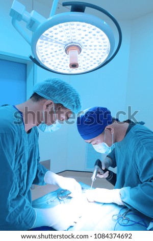 Two of veterinarian surgery in operation room take with art lighting and blue filter
