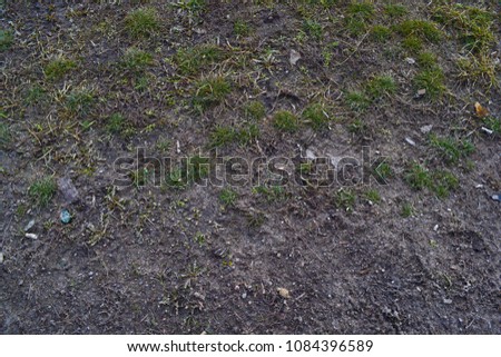 Background of gray earth and grass. Texture of nature
