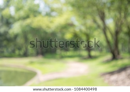Abstract blur city park bokeh background - Green nature concept