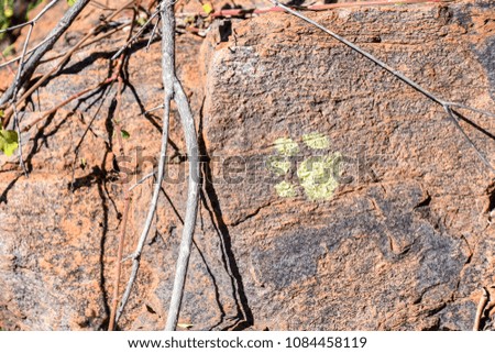 A foot print of a cat paw in yellow paint used as a hiking sign on a rock in South Africa directing hikers in the right direction