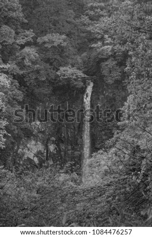 The waterfall in Japan taken with monochrome photography.