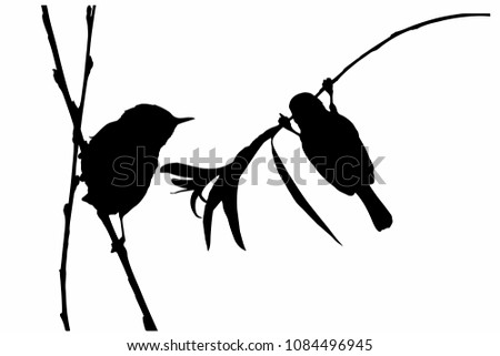 Cute bird and branch. Vector images. White background.
