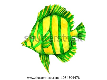 Ttropical fish yellow-green color