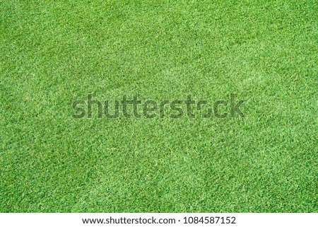 green grass on background