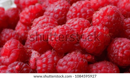 summer raspberries. red berry