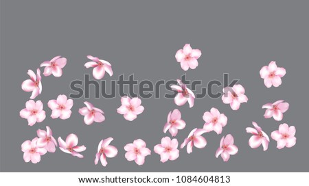 Wedding Sakura Cherry, Rose Petals Floral Confetti. Spring Vector Peach Apple Blossom Soft Sakura Cherry and Rose Confetti Falling Down. Frangant Floral Design, Natural Cosmetics Background