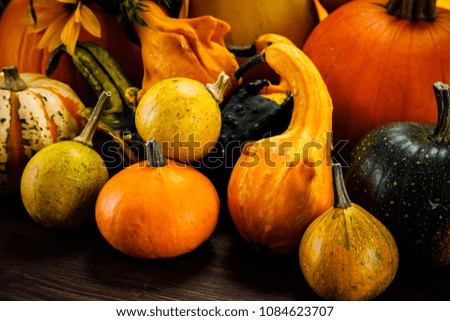 Pumpkins on planks 