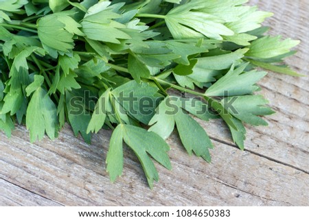 Fresh herb from lovage on a wooden board  Royalty-Free Stock Photo #1084650383