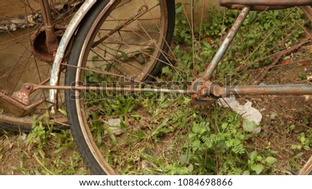 Rusty Old Bike Wheel in Vintage Garden