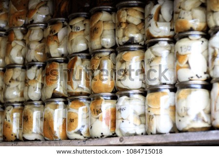 Jars of homemade preserves and mushrooms stocked on a wooden shelf.