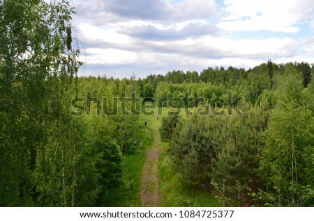 Panoramic view of the road in the forest from a bird's eye view. Wallpaper, cover, screen saver.