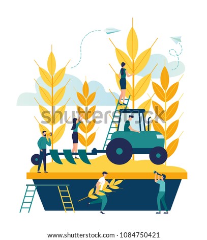 Vector illustration, a process of harvesting crops on a tractor, ears with whole grains and leaves, yellow wheat, rye or barley vector Royalty-Free Stock Photo #1084750421