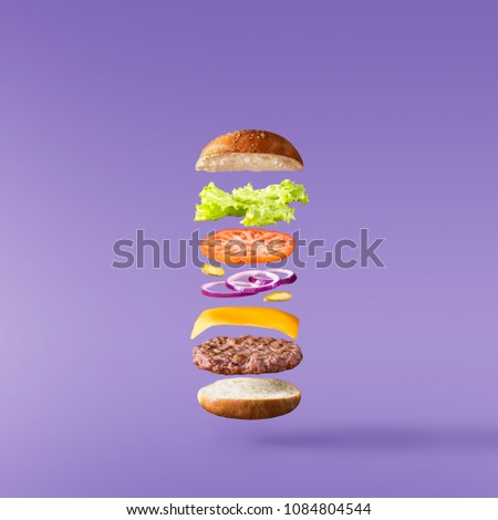 Floating tasty Burger on  backround