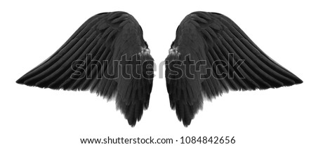 black angel wings isolated on white background Royalty-Free Stock Photo #1084842656