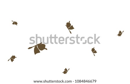 Many Brown Butterflies on White Background