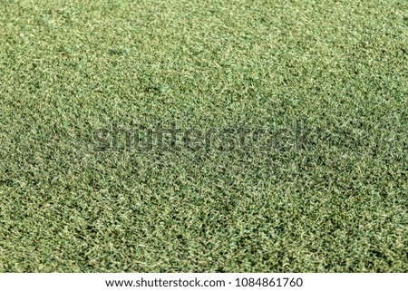 The damage Artificial turf