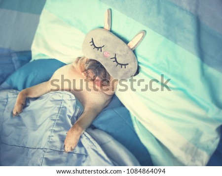 Cute pug dog sleep rest with funny mask in the bed, wrap with blanket and tongue sticking out in the lazy time Royalty-Free Stock Photo #1084864094