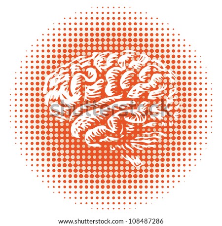 whole human brain isolated - illustration
