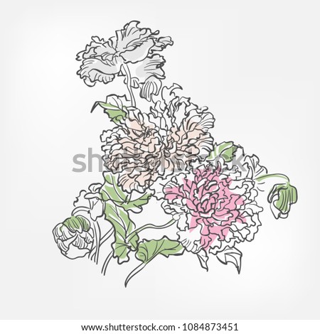 chrysanthemum japanese paint style design sketch design element vector