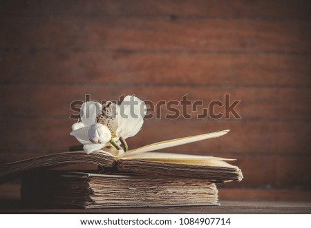 White orchid flower and old books on wooden table and background