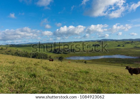 Grassland mountainous Australian farmscape with text space Royalty-Free Stock Photo #1084923062