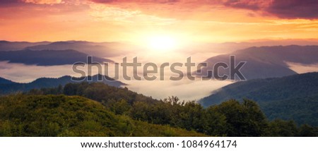 panoramic morning scene, beauty summer foggy  image, attractive view of valley covered  fog on background gold sunlight, fantastic mountains landscape in Europe, Carpathians, Ukraine
