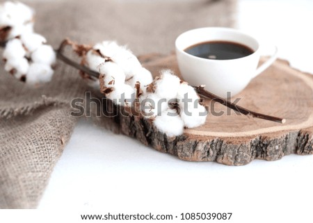 Beautiful white cotton flowers, coffee on table