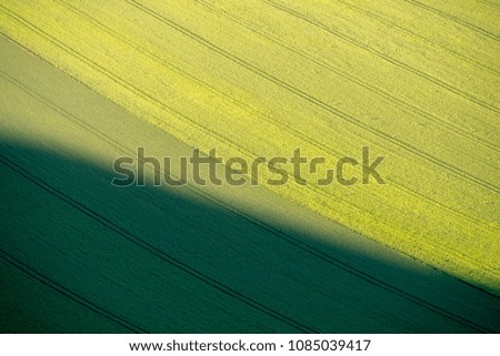 Sunny fields suitable for backgrounds or wallpapers, natural seasonal landscape.