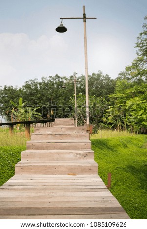Wooden walkway to tropical garden, stock photo