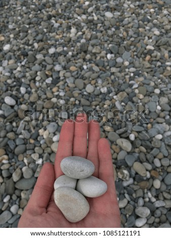 sea beach stones summer