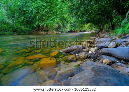 the beautiful river in mountain forest. nature wallpaper