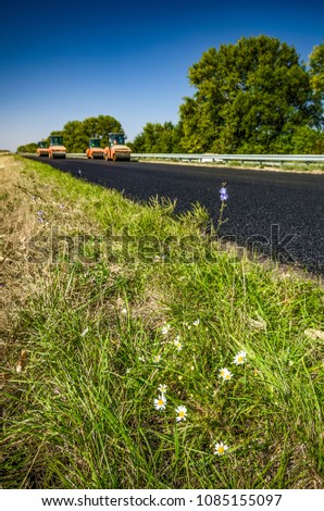 Flowers in grass with new road on background. Rosd construction.