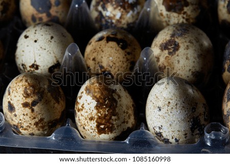 Quail eggs in a plastic container on a dark wooden background, top view, selective focus, shallow depth of field