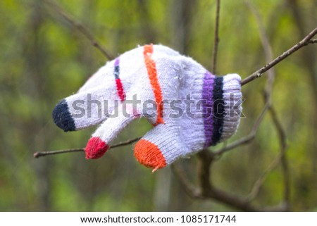 Lost multi-colored children's glove on a tree branch in the park